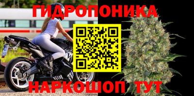 стафф Пушкино