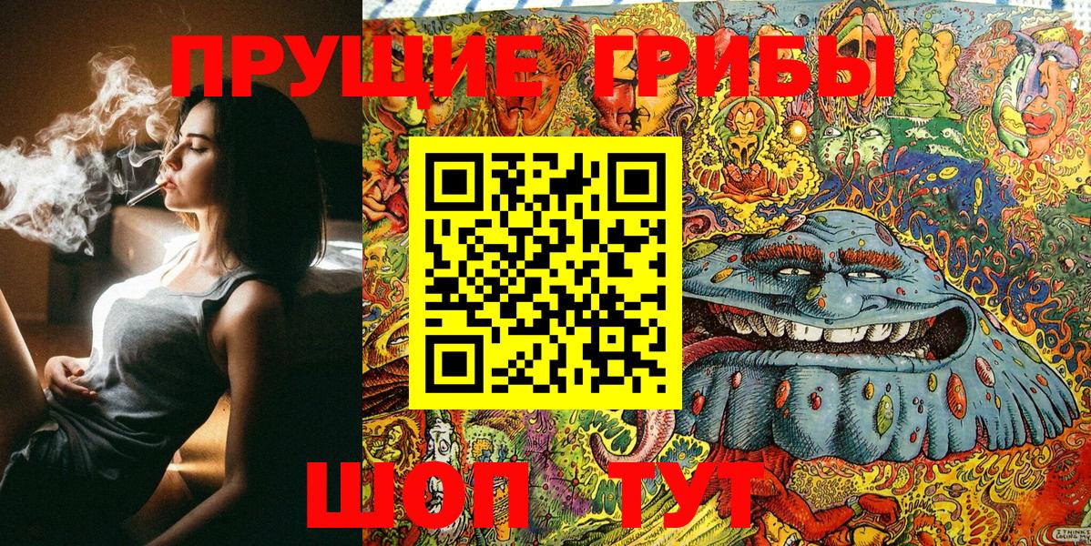 Псилоцибиновые грибы Psilocybine cubensis Советск