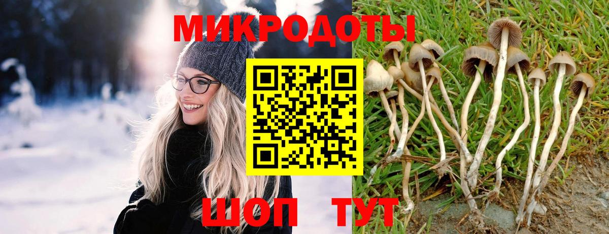 Советск  Псилоцибиновые грибы прущие грибы  Вход с VPN  Псилоцибиновые грибы мухоморы 